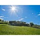 Search_Ruin and an agricultural accessory for sale in Le Marche_16